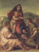 The Madonna of the Stair (san05) Andrea del Sarto